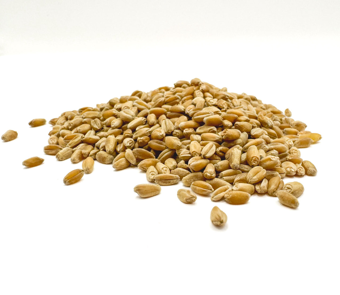 Organic, Hard White Spring Wheat Berries, Hi Gluten, Glyphosate Free.