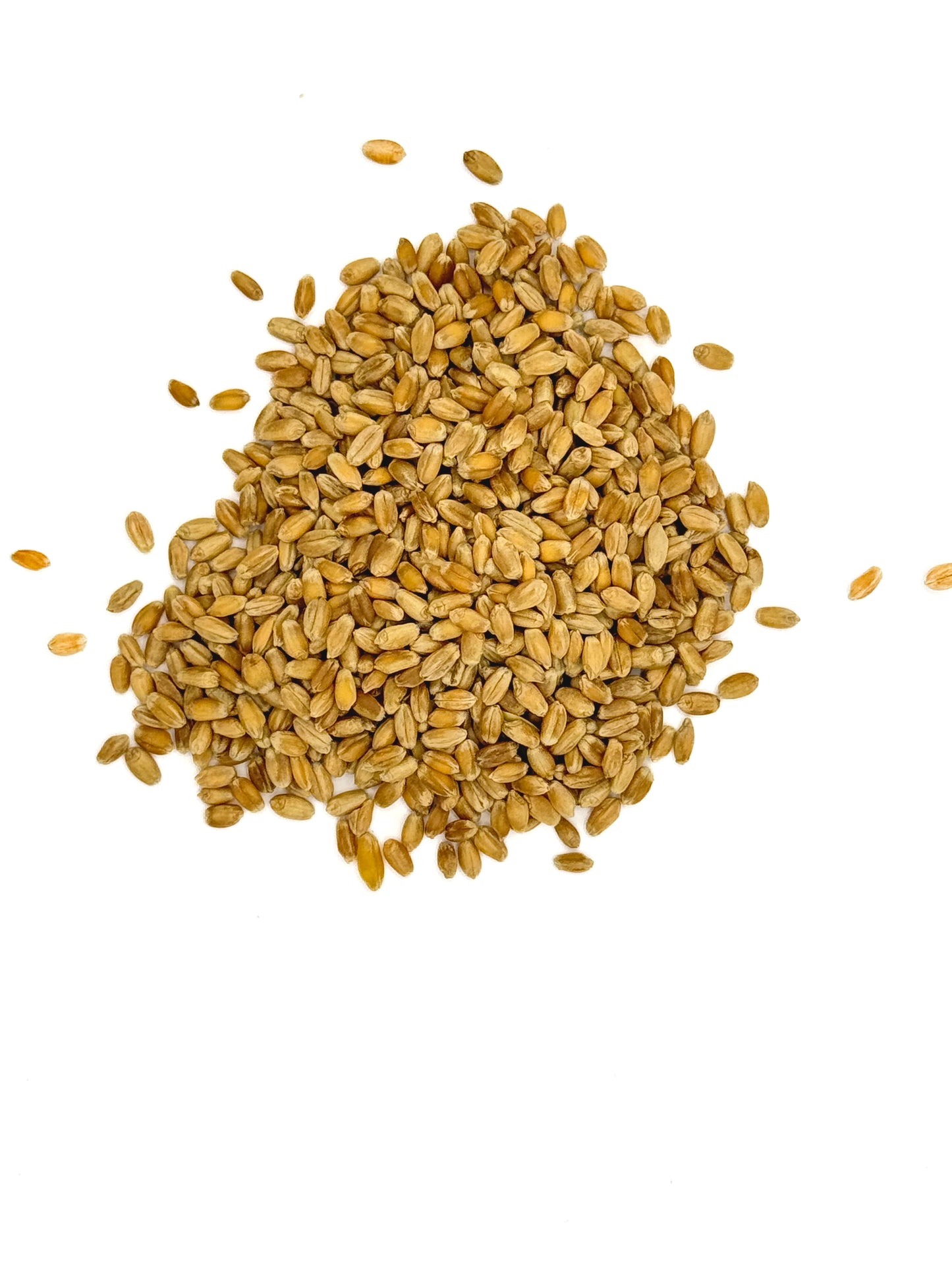 Organic, Hard White Spring Wheat Berries, Hi Gluten, Glyphosate Free.