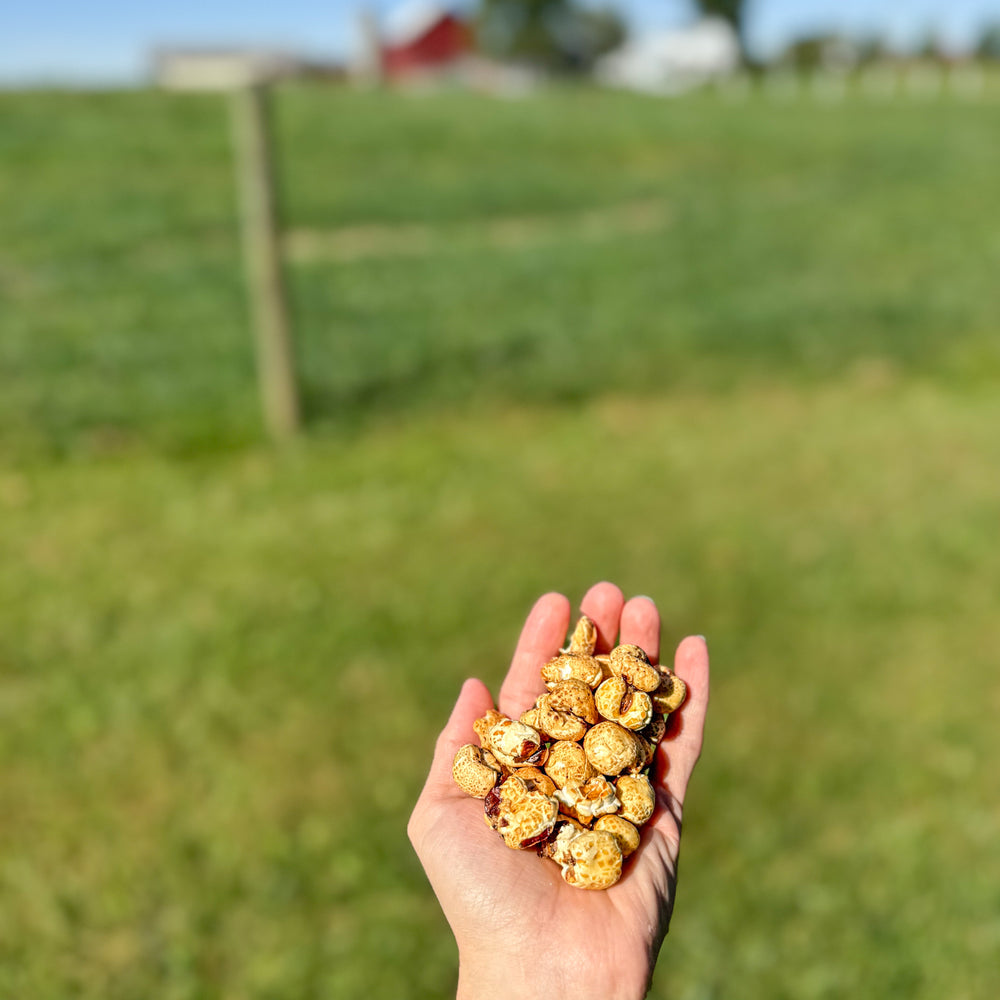
                  
                    Honey Puffed Corn Snack
                  
                