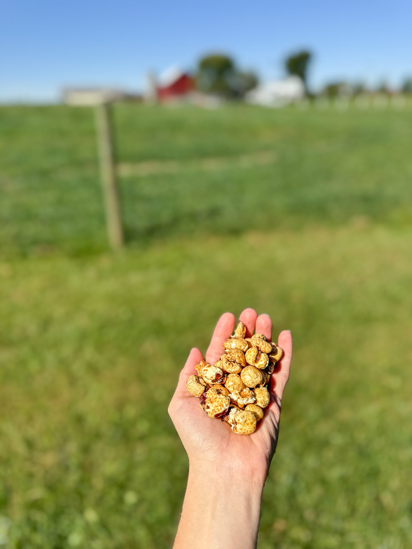 
                  
                    Honey Puffed Corn Snack
                  
                