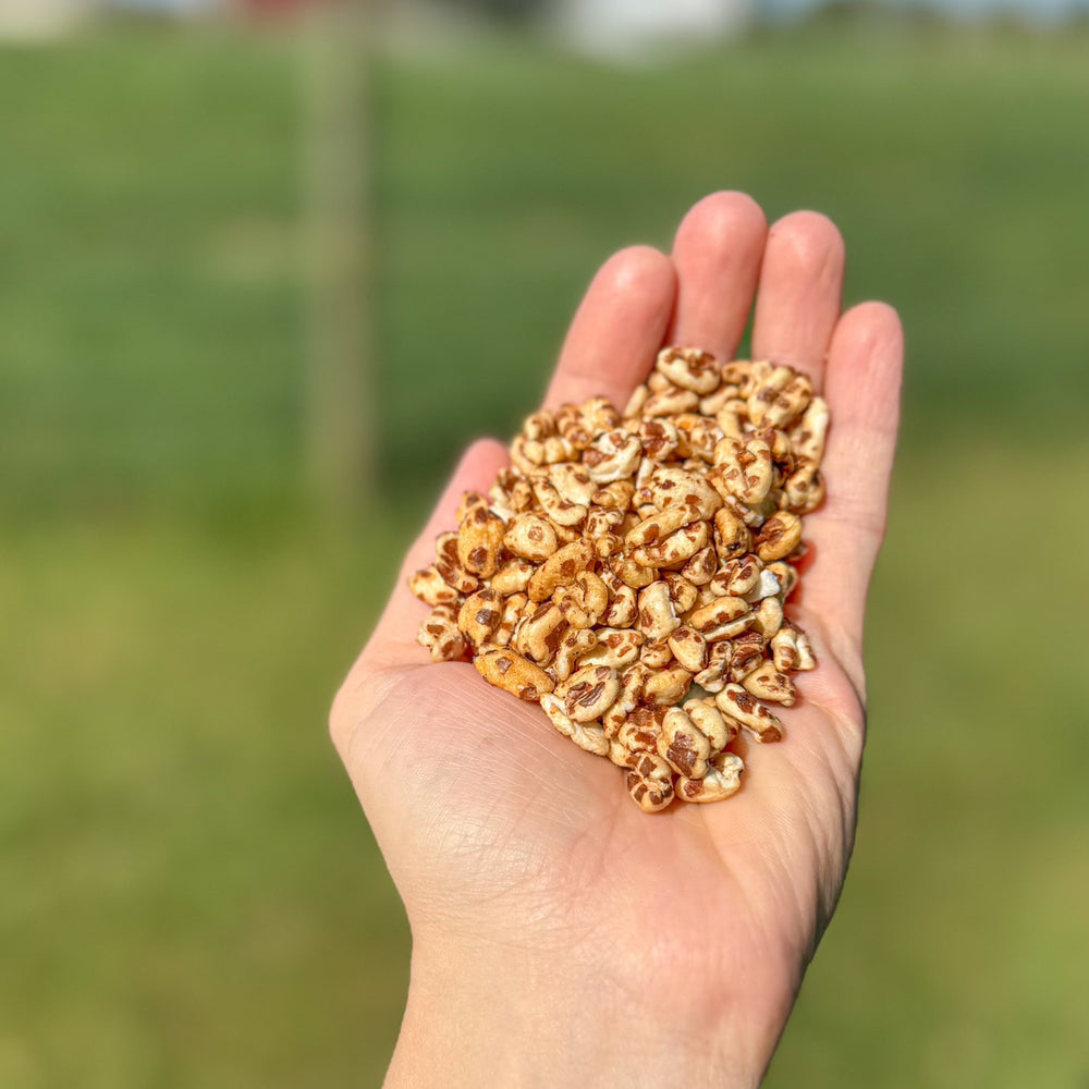 
                  
                    Honey Puffed Spelt Cereal
                  
                