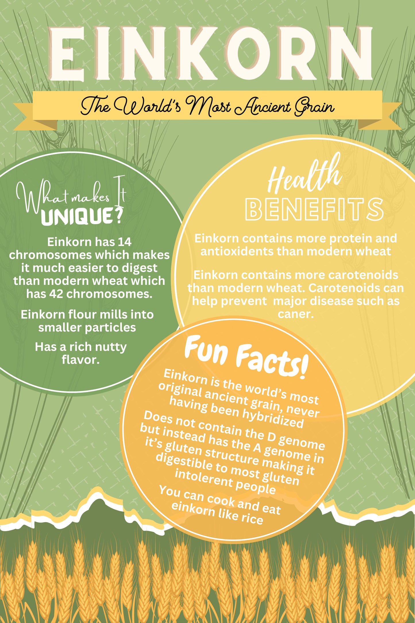 Einkorn Products