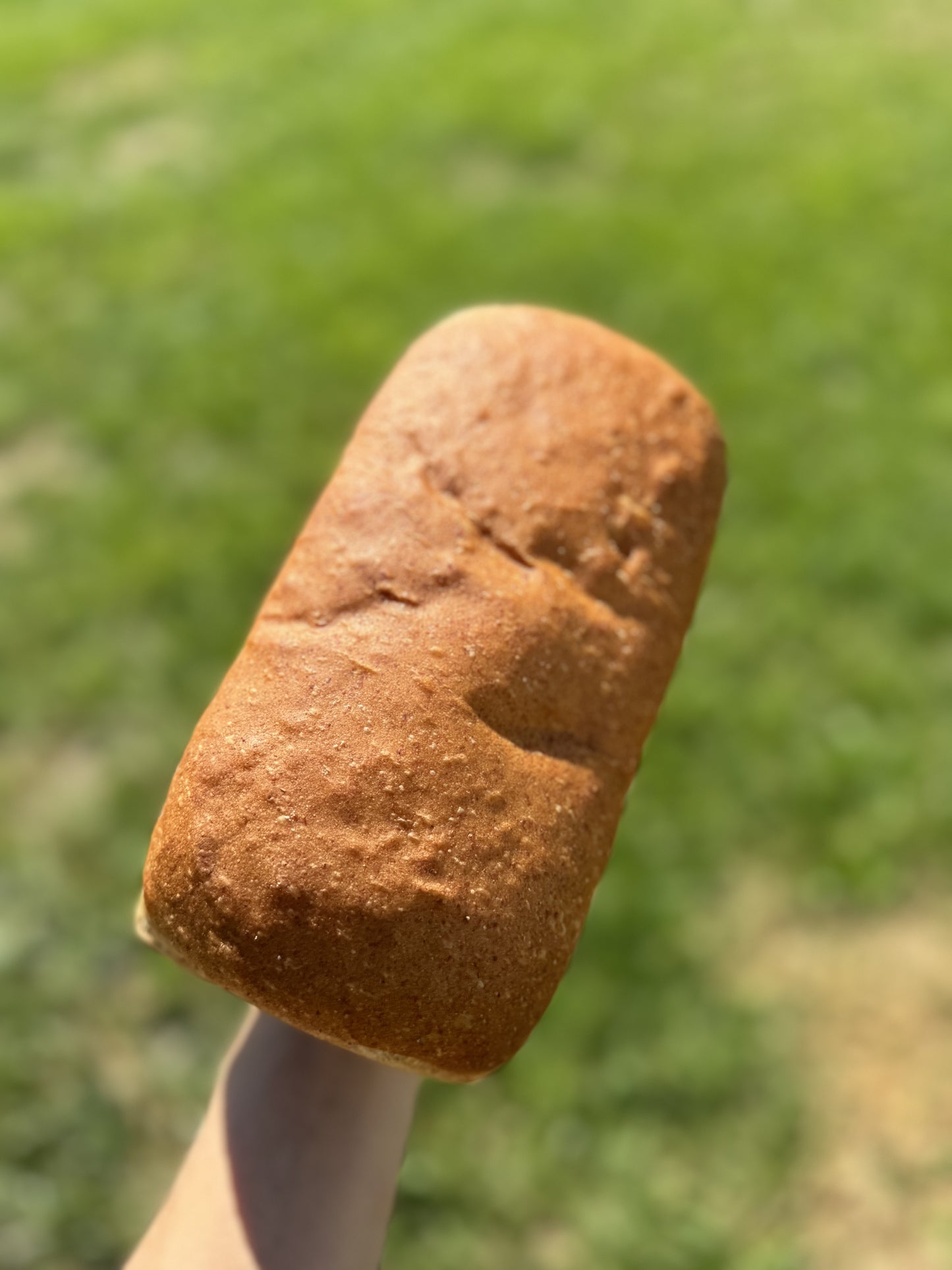 
                  
                    Einkorn Sourdough Loaf Bread
                  
                